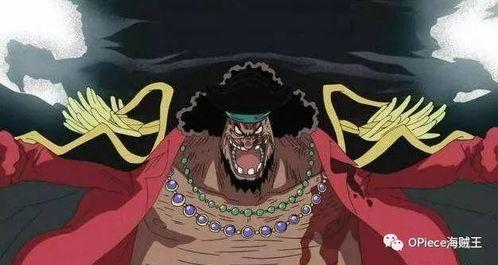 巴西哥爆料海贼王视频,海贼王最新剧情曝光，精彩片段抢先看！